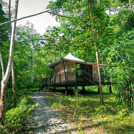 Anurak Community Lodge - Sha Plus Khao Sok National Park Exterior photo