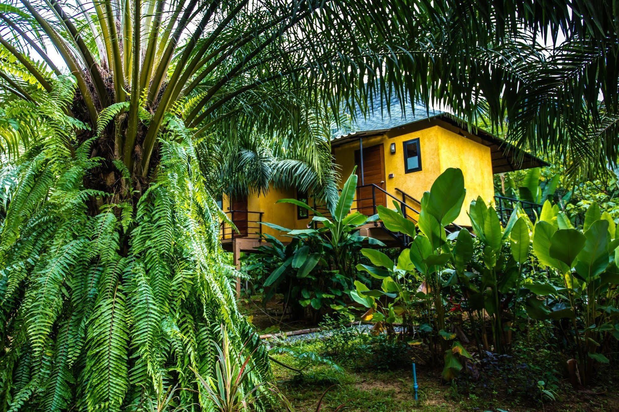 Anurak Community Lodge - Sha Plus Khao Sok National Park Exterior photo